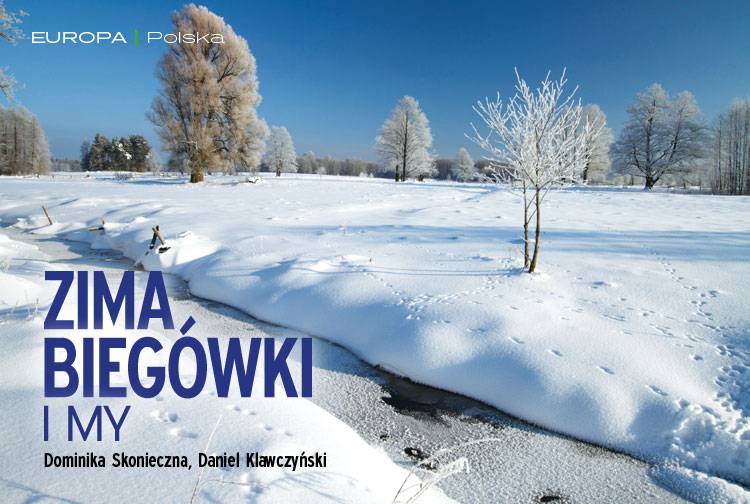 Losowy darmowy artykuł